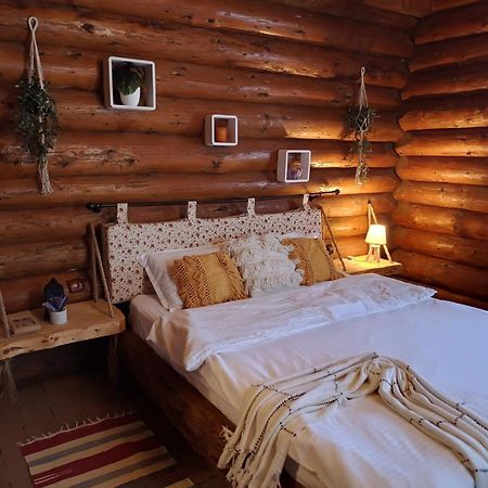 Cabana Rustic Balea Cîrţişoara Exteriér fotografie