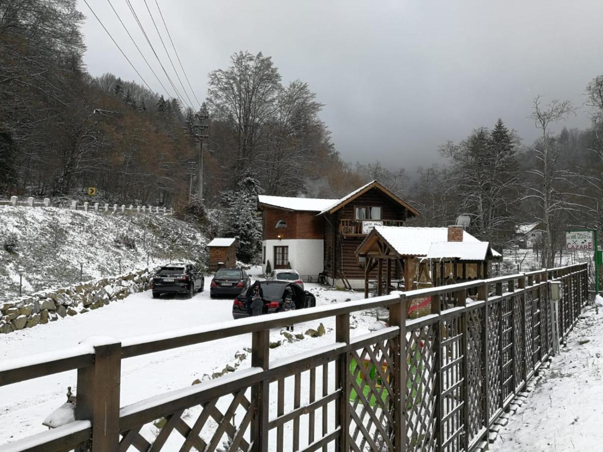 Cabana Rustic Balea Cîrţişoara Exteriér fotografie