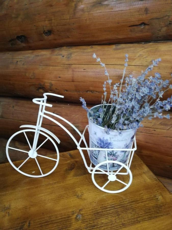 Cabana Rustic Balea Cîrţişoara Exteriér fotografie
