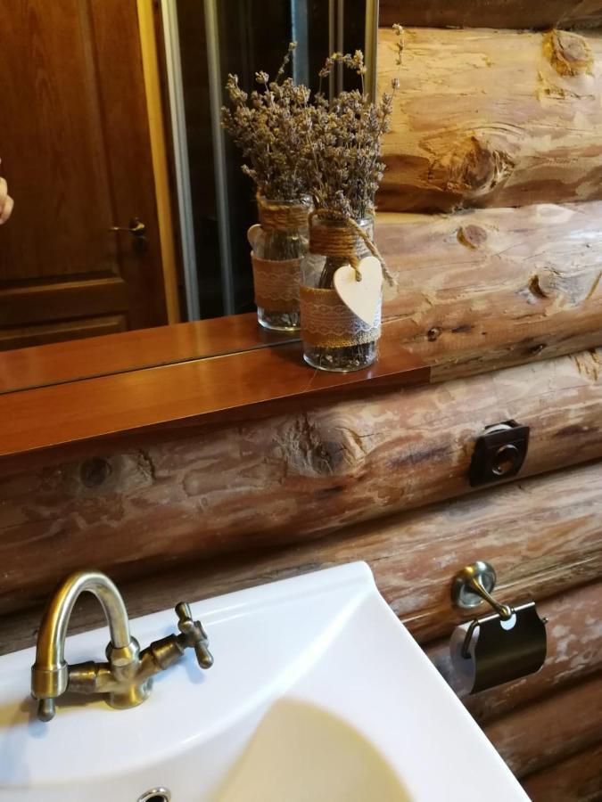 Cabana Rustic Balea Cîrţişoara Exteriér fotografie