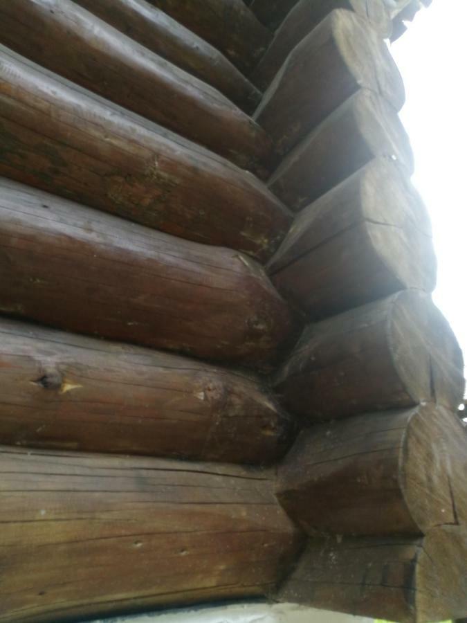 Cabana Rustic Balea Cîrţişoara Exteriér fotografie