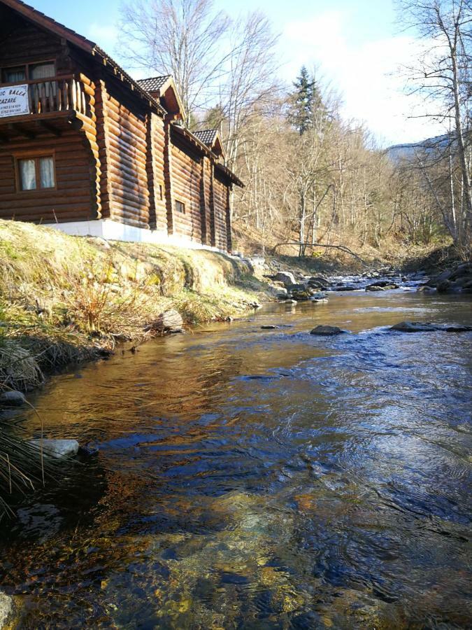 Cabana Rustic Balea Cîrţişoara Exteriér fotografie