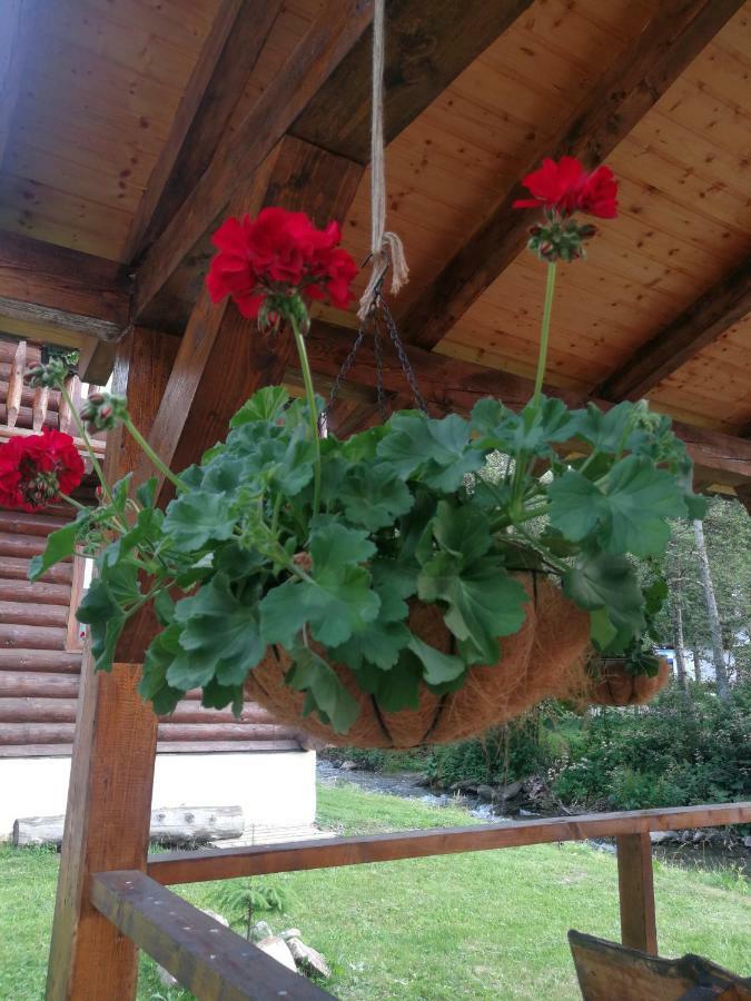 Cabana Rustic Balea Cîrţişoara Exteriér fotografie